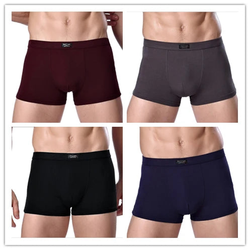 Bamboo Male Panties Sexy Underwear Men Cuecas Boxer New Fashion Boxer Shorts Mens Underware 4pcs/lot Free Shipping