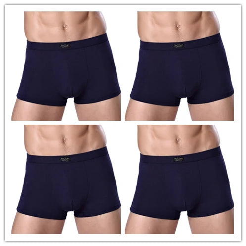 Bamboo Male Panties Sexy Underwear Men Cuecas Boxer New Fashion Boxer Shorts Mens Underware 4pcs/lot Free Shipping