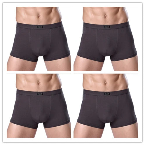 Bamboo Male Panties Sexy Underwear Men Cuecas Boxer New Fashion Boxer Shorts Mens Underware 4pcs/lot Free Shipping